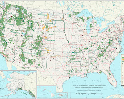National forests in the United States